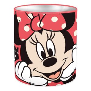 ΜΟΛΥΒΟΘΗΚΗ ΜΕΤΑΛΛΙΚΗ 10X11  MINNIE