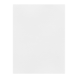 FAVINI ΧΑΡΤΟΝΙ 50x70cm 220gr Νο03 ΛΕΥΚΟ