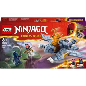 LEGO NINJAGO: YOUNG DRAGON RIYU