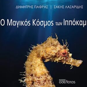 Ο ΜΑΓΙΚΟΣ ΚΟΣΜΟΣ ΤΩΝ ΙΠΠΟΚΑΜΠΩΝ