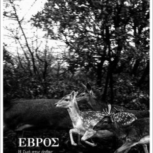 ΕΒΡΟΣ: Η ΖΩΗ ΣΤΙΣ ΟΧΘΕΣ